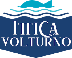 ITTICA VOLTURNO